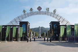 金安福园